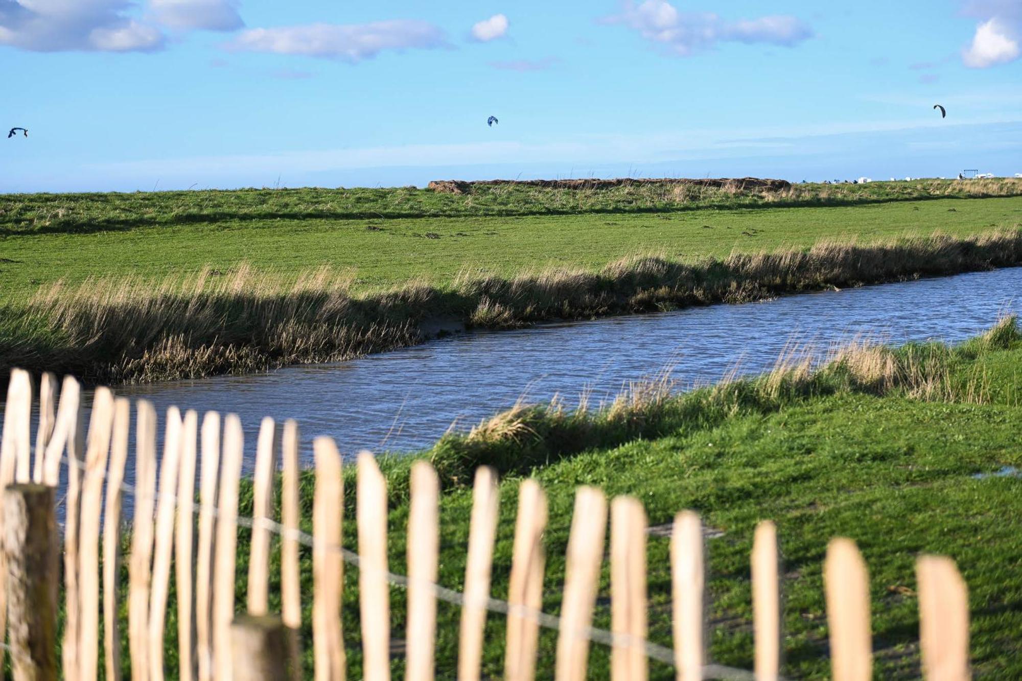 Tiny House Nature 16 Zur Meerseite - Green Tiny Village Harlesiel Carolinensiel Esterno foto